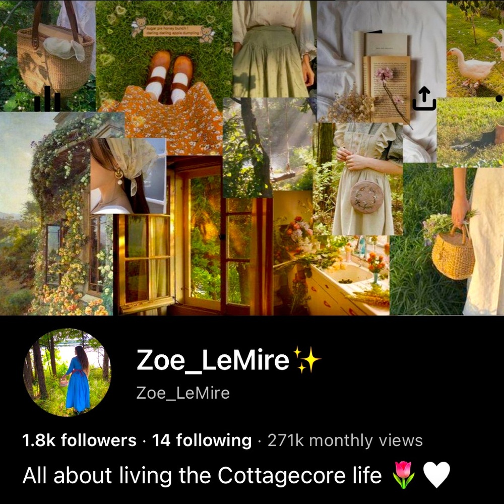 Follow me on Pinterest! 🌷🤍